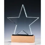 Crystal with Wood Award CR-55