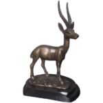 Antelope