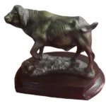 Buffalo