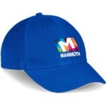 Cincinnati 6 Panel Cap