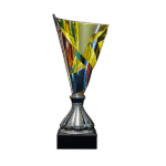 TROPHY 6218