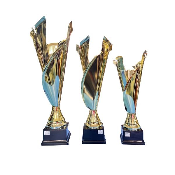 TROPHY 6208