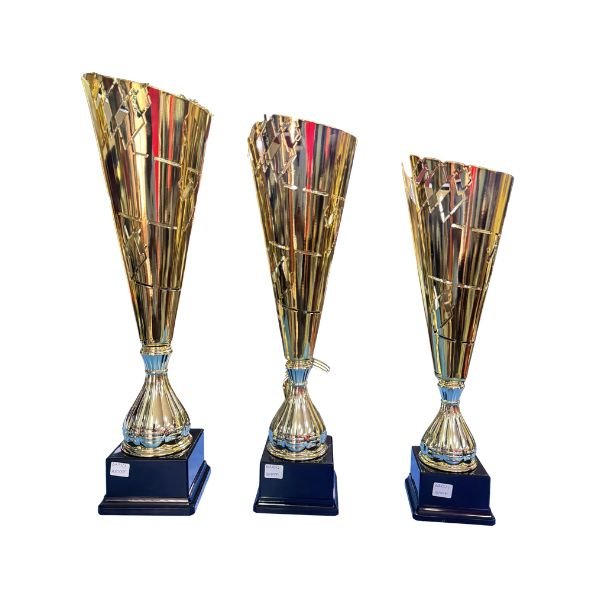 TROPHY 6223